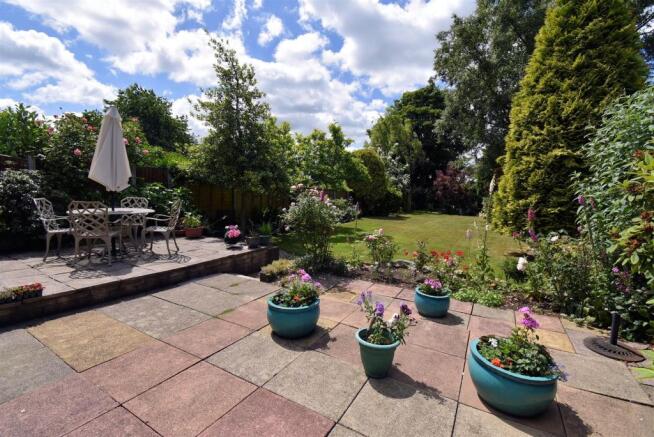 garden4.jpg