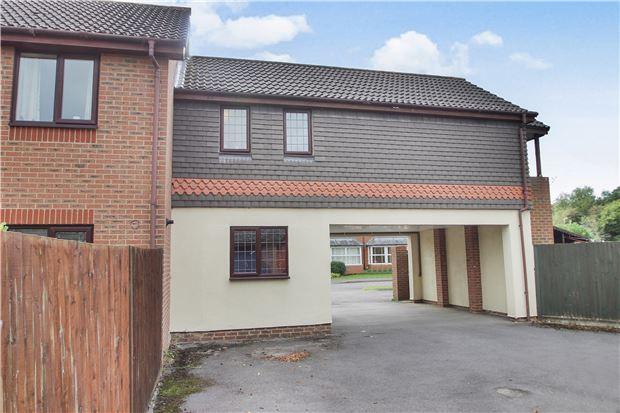 Rear Elevation