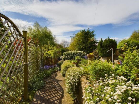 Garden photo 3