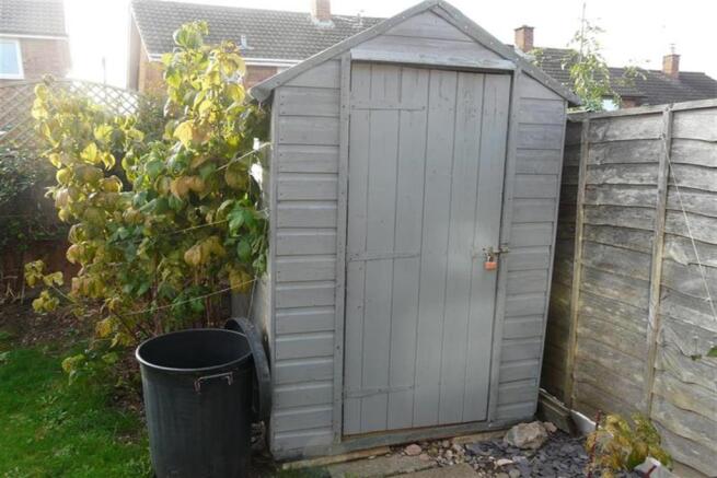 Back Garden 2