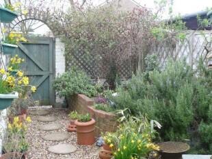 Rear Garden Pic 2