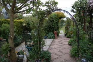 Photo 8