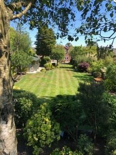 Rear Garden Summer '21