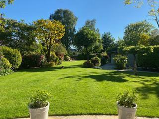 Rear Garden Summer '21
