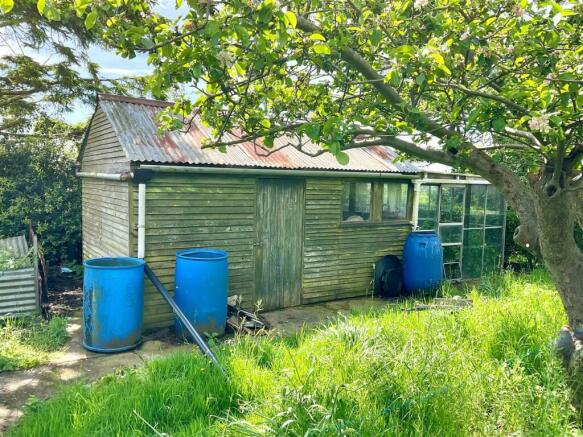 Garden pic6.jpg