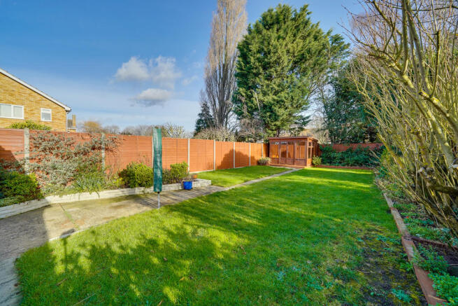 Back Garden
