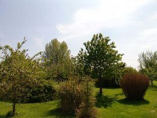 EXTERNAL 4