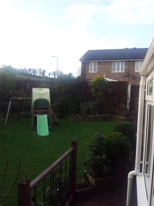 garden (2)