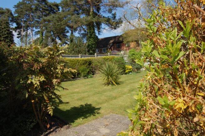 Garden 1