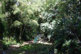 Garden 3