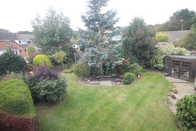 garden 1.JPG