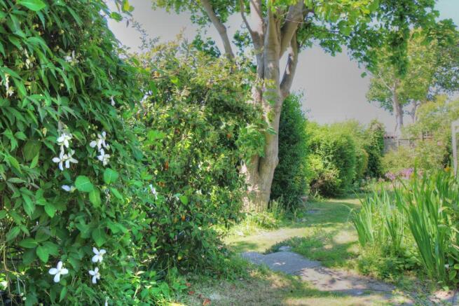 Beautiful Garden area