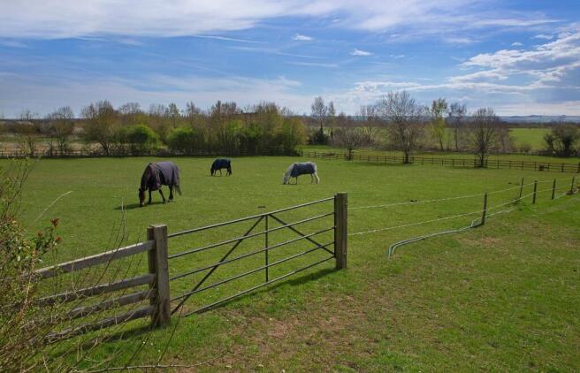 Paddock