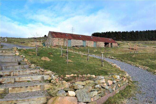 Steading