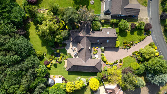 DJI_0355