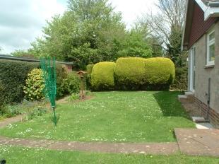 Side Garden