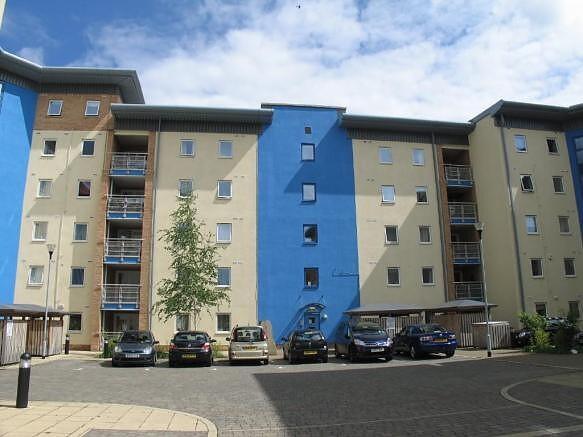External (Main)