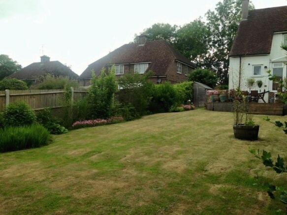 Summer garden ...
