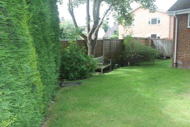 Photo 7