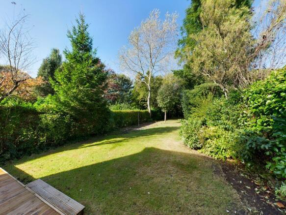 Garden at Back