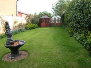 garden