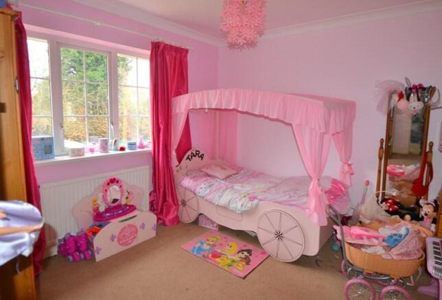 Photo 12