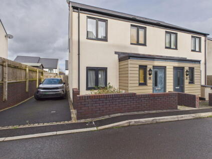 Hollyhock Way, Paignton