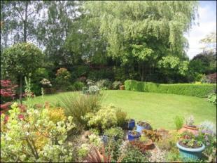 MATURE REAR GARDEN