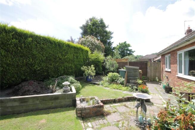 Garden Pic 2
