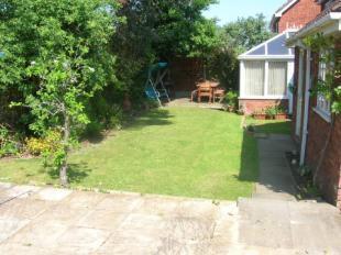 Rear Garden 2