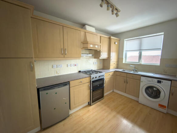 IMG 3001 T202602200735.jpg