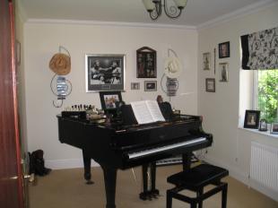 STUDY/MUSIC ROOM