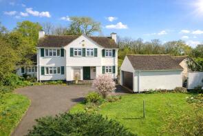 Wych Elm, Road From Higher Wolsten Farm To Putts Farm, Ottery St. Mary EX11 1PY
