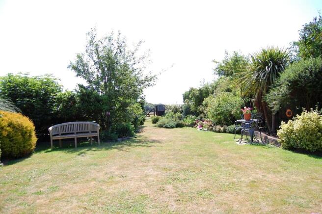 Another garden view