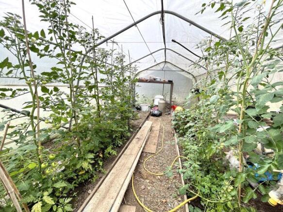 Polytunnel
