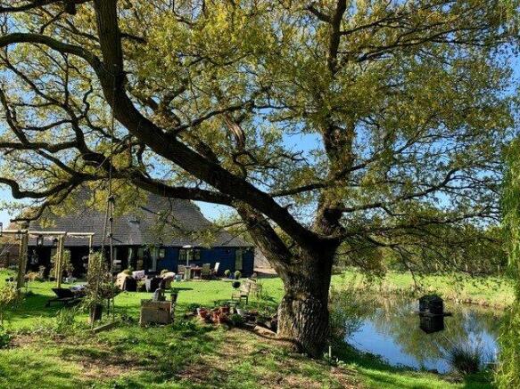 Spring At The Barn