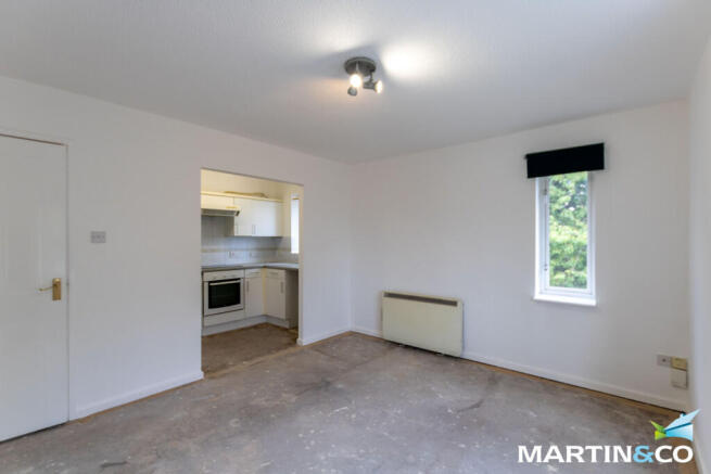 Picture5