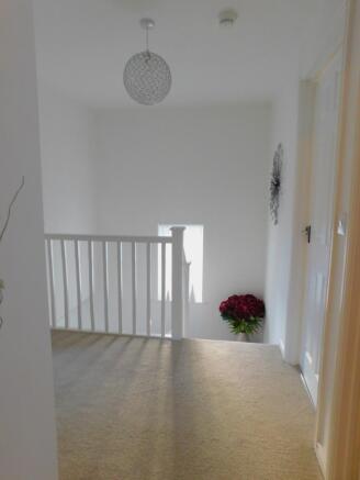 28 buttercup close (7)