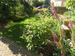 Photo 6
