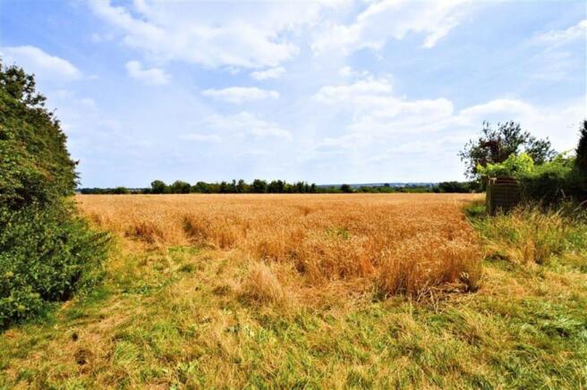 Walk to Farmland