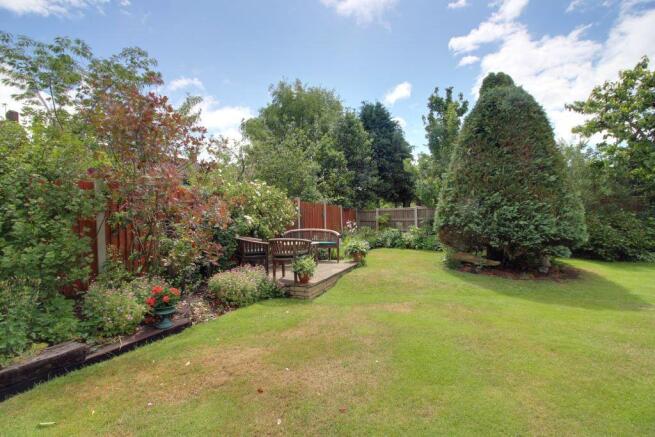 Garden at Back