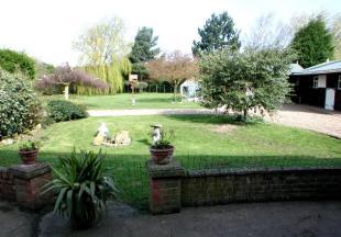 Garden 2