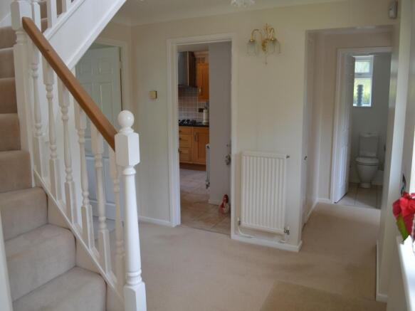Image 6