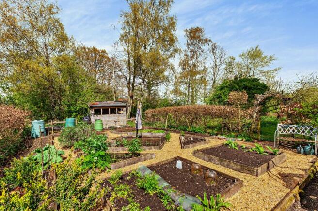 Vegetable Plot