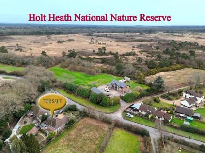 Holt Road, Mannington, Wimborne, BH21 7JZ