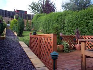 Rear garden