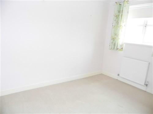 Photo2