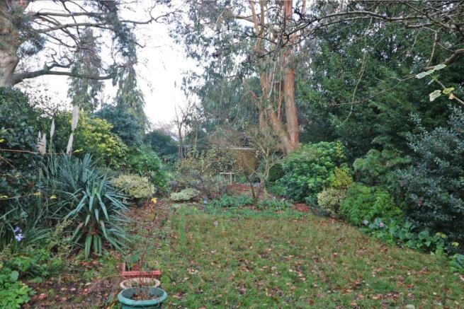 Garden.jpg