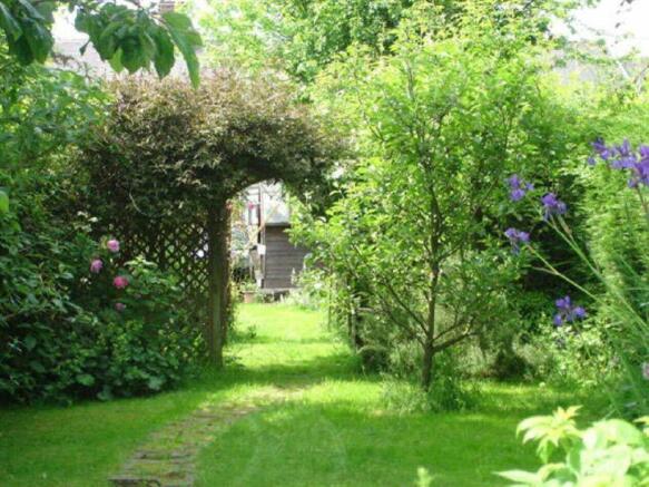 Photo 7