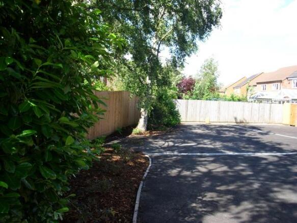 Photo 8